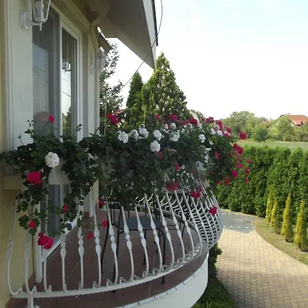 Rosa *